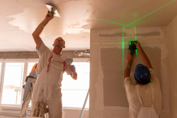 Best Mold Damage Restoration  in Avon, OH