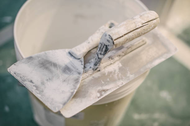 Best Forensic Mold Investigation  in Avon, OH
